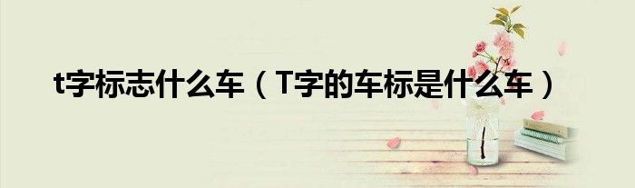 t字标志什么车（T字的车标是什么车）