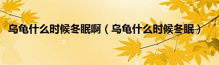 乌龟什么时候冬眠啊（乌龟什么时候冬眠）