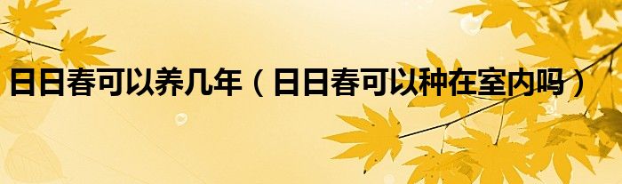 日日春可以养几年（日日春可以种在室内吗）