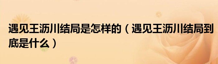遇见王沥川结局是怎样的（遇见王沥川结局到底是什么）