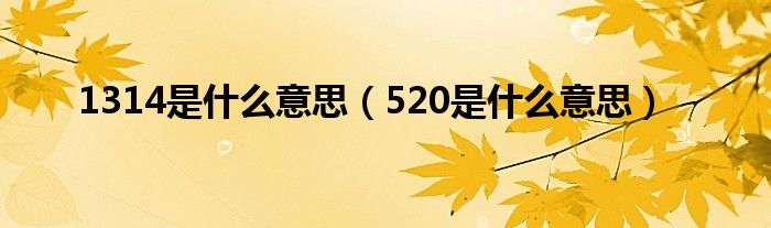 1314是什么意思（520是什么意思）