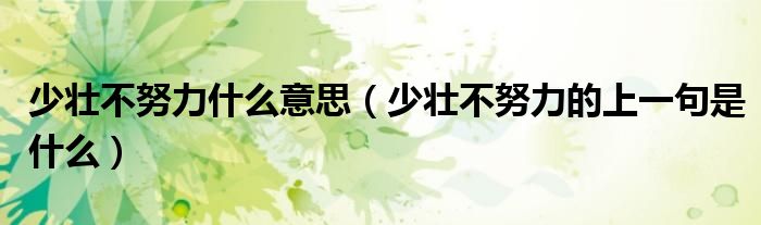 少壮不努力什么意思（少壮不努力的上一句是什么）