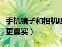手机镜子和相机哪个更真实（镜子和相机哪个更真实）