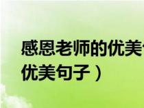 感恩老师的优美句子50字左右（感恩老师的优美句子）