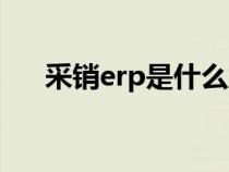 采销erp是什么意思（erp是什么意思）