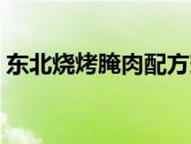 东北烧烤腌肉配方窍门（东北烧烤腌肉配方）