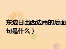 东边日出西边雨的后面一句是什么（东边日出西边雨的下一句是什么）