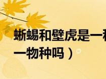 蜥蜴和壁虎是一种动物吗?（蜥蜴和壁虎是同一物种吗）