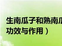 生南瓜子和熟南瓜子的功效区别（生南瓜子的功效与作用）