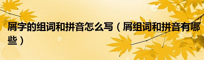 屑字的组词和拼音怎么写（屑组词和拼音有哪些）