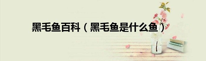 黑毛鱼百科（黑毛鱼是什么鱼）