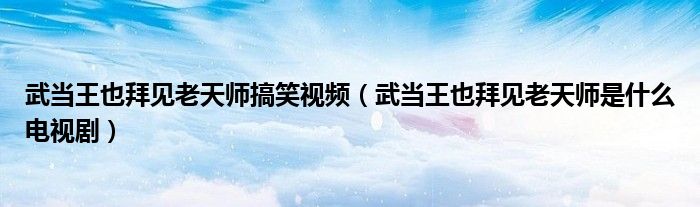 武当王也拜见老天师搞笑视频（武当王也拜见老天师是什么电视剧）