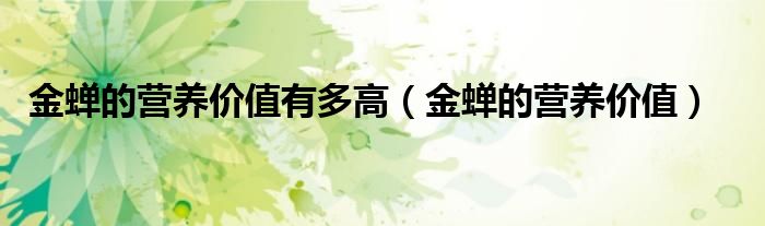 金蝉的营养价值有多高（金蝉的营养价值）