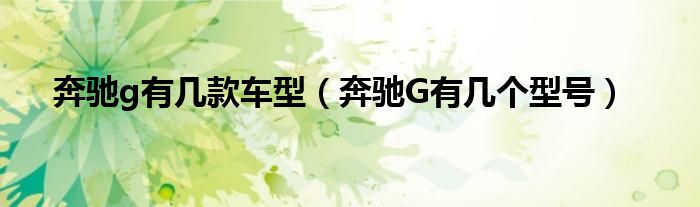 奔驰g有几款车型（奔驰G有几个型号）