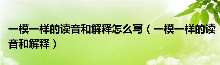 一模一样的读音和解释怎么写（一模一样的读音和解释）
