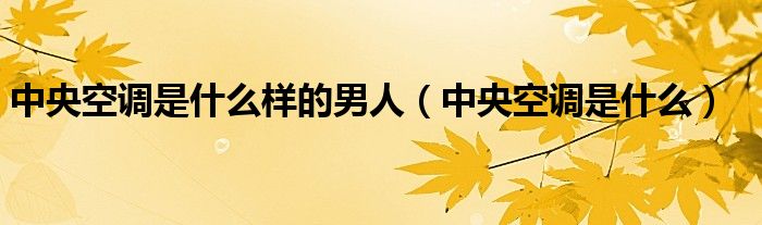 中央空调是什么样的男人（中央空调是什么）