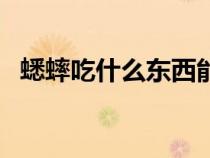 蟋蟀吃什么东西能养活（蟋蟀吃什么东西）