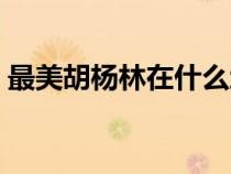 最美胡杨林在什么地方（胡杨林在什么地方）