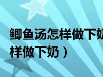 鲫鱼汤怎样做下奶而且婴儿不胀气（鲫鱼汤怎样做下奶）