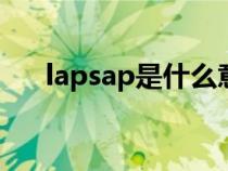 lapsap是什么意思（SAP是什么意思）