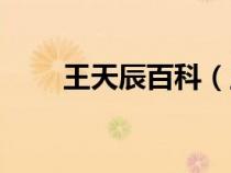 王天辰百科（王天辰个人资料内容）
