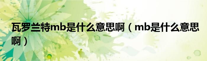 瓦罗兰特mb是什么意思啊（mb是什么意思啊）