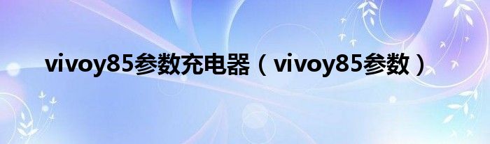 vivoy85参数充电器（vivoy85参数）
