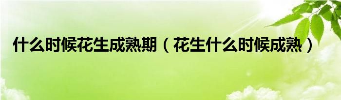 什么时候花生成熟期（花生什么时候成熟）