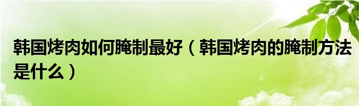 韩国烤肉如何腌制最好（韩国烤肉的腌制方法是什么）