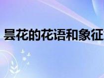 昙花的花语和象征意义（昙花的花语和传说）