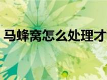 马蜂窝怎么处理才能泡酒（马蜂窝怎么处理）