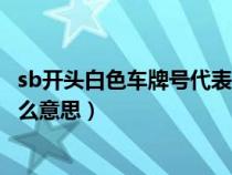 sb开头白色车牌号代表什么意思（sb车牌号白色车牌代表什么意思）