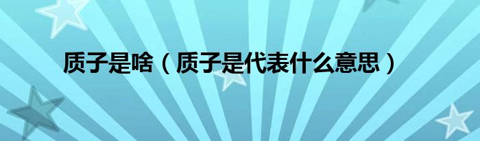 质子是啥（质子是代表什么意思）