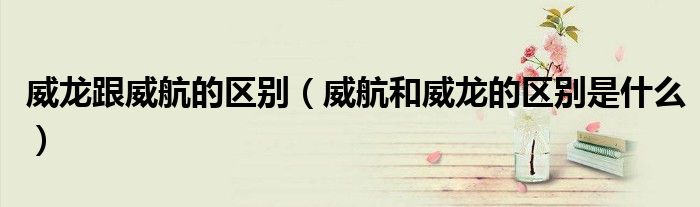 威龙跟威航的区别（威航和威龙的区别是什么）