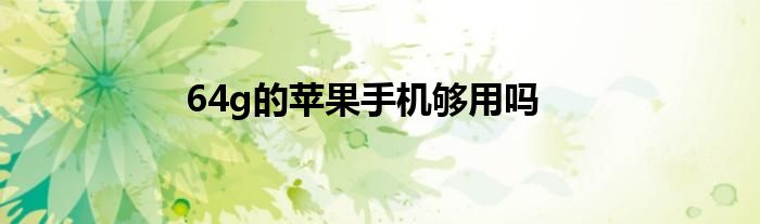 64g的苹果手机够用吗