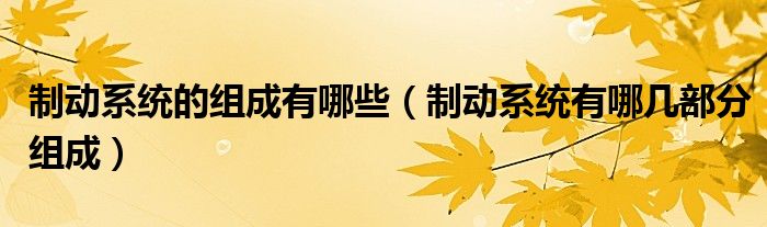 制动系统的组成有哪些（制动系统有哪几部分组成）