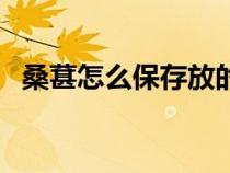 桑葚怎么保存放的时间长（桑葚怎么保存）