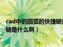cad中的圆弧的快捷键是什么啊图片（CAD中的圆弧的快捷键是什么啊）