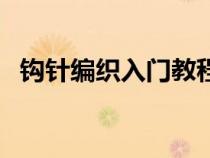 钩针编织入门教程（钩针编织教程初学者）