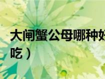 大闸蟹公母哪种好吃一点（大闸蟹公母哪种好吃）