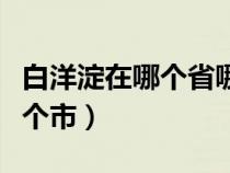 白洋淀在哪个省哪个市哪个县（白洋淀属于哪个市）