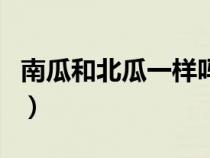 南瓜和北瓜一样吗能吃吗（南瓜和北瓜一样吗）