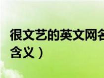 很文艺的英文网名（文艺又少见的英文网名及含义）