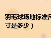 羽毛球场地标准尺寸大小（羽毛球场地标准尺寸是多少）