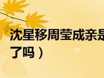 沈星移周莹成亲是真的（沈星移和周莹在一起了吗）