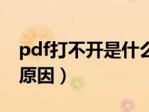 pdf打不开是什么原因（pdf怎么打不开什么原因）