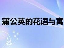 蒲公英的花语与寓意古诗词（蒲公英的花语）
