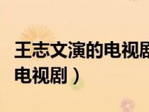 王志文演的电视剧全部剧情（王志文主演全部电视剧）