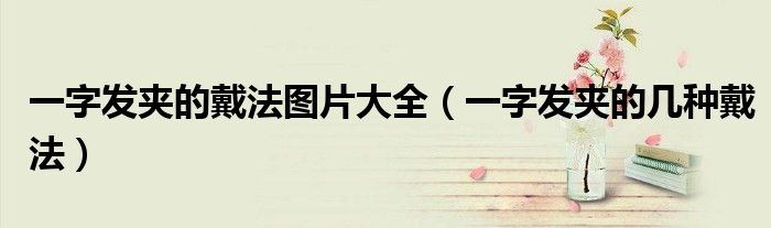 一字发夹的戴法图片大全（一字发夹的几种戴法）