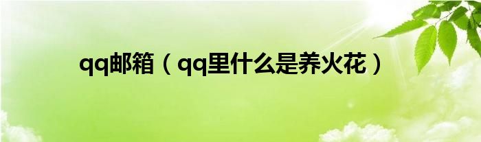 qq邮箱（qq里什么是养火花）